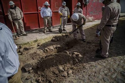 Siguen pesquisa sobre ordeña
