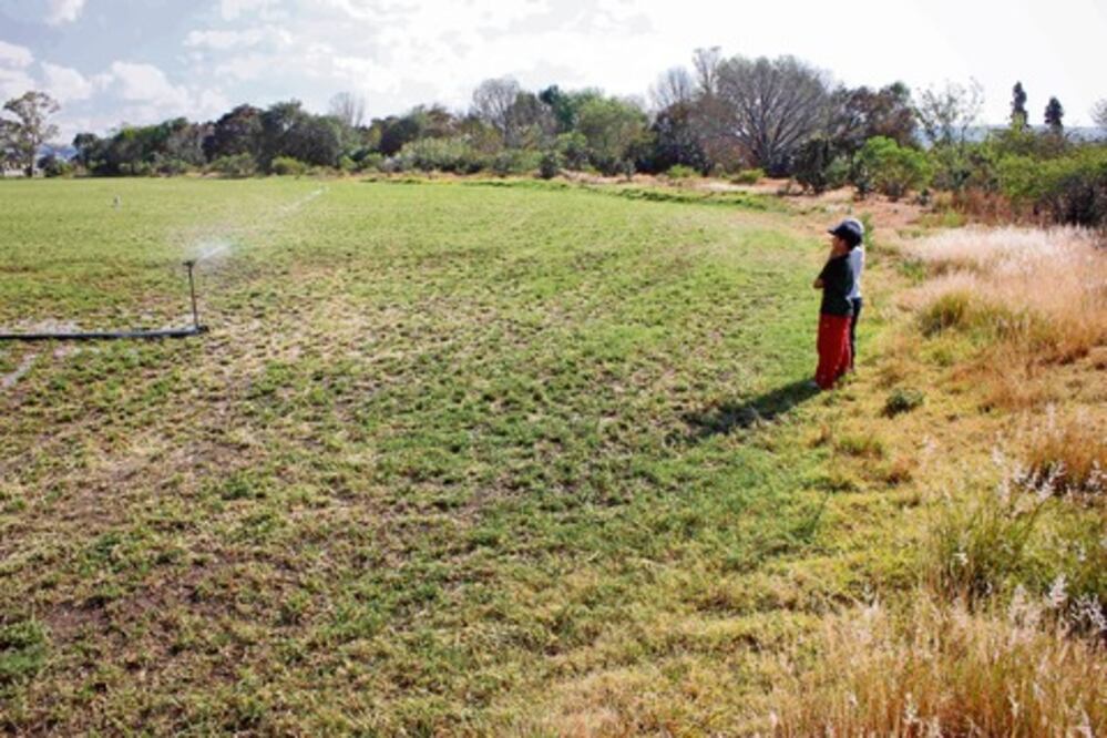Tecnificarán más de mil hectáreas en SJR
