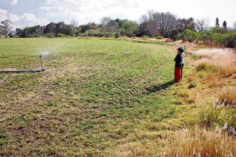 Tecnificarán más de mil hectáreas en SJR