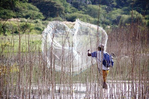 En abril iniciará plan de acuacultura