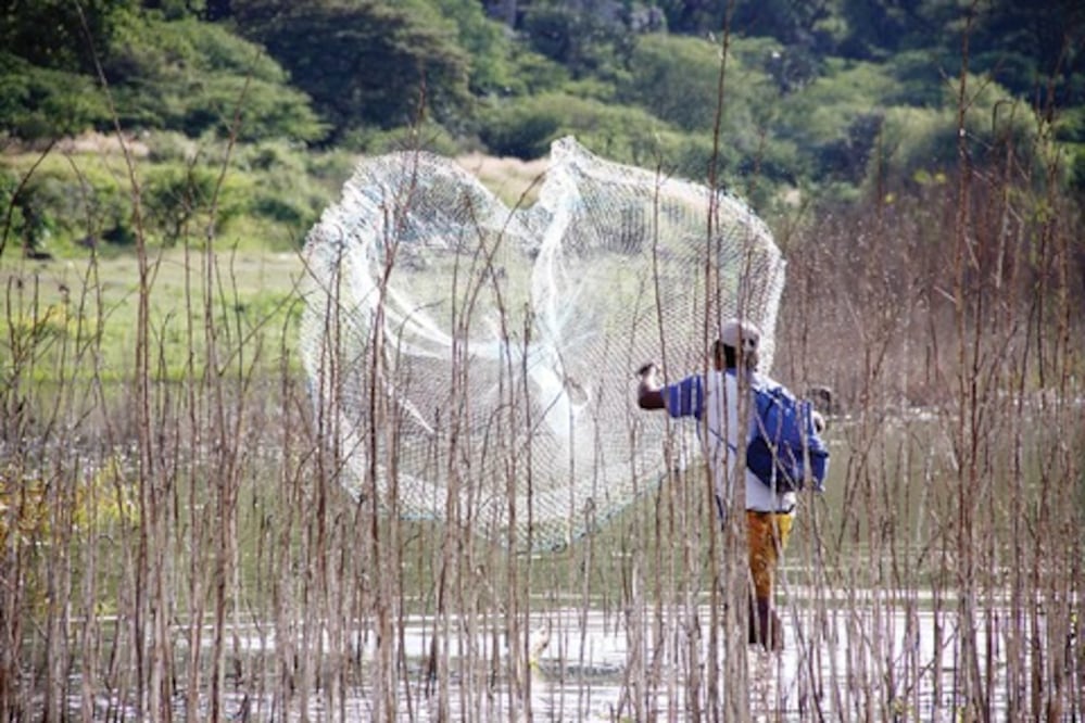En abril iniciará plan de acuacultura