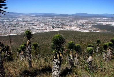 Sí estamos a favor de proteger Peña Colorada: Morena 
