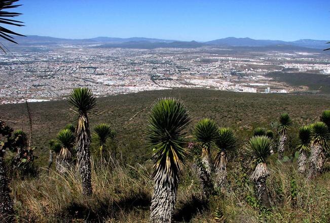 Sí estamos a favor de proteger Peña Colorada: Morena