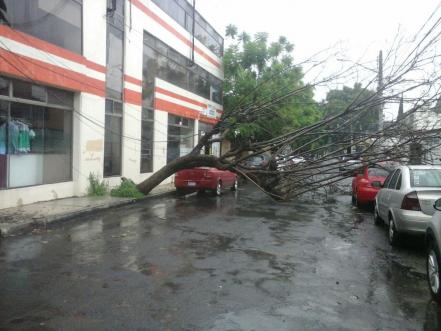 Lluvias causan afectaciones en la zona centro