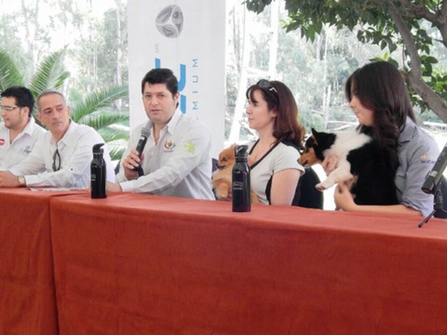 Preparan Expo Canina en SJR; esperan derrama de 5 mdp
