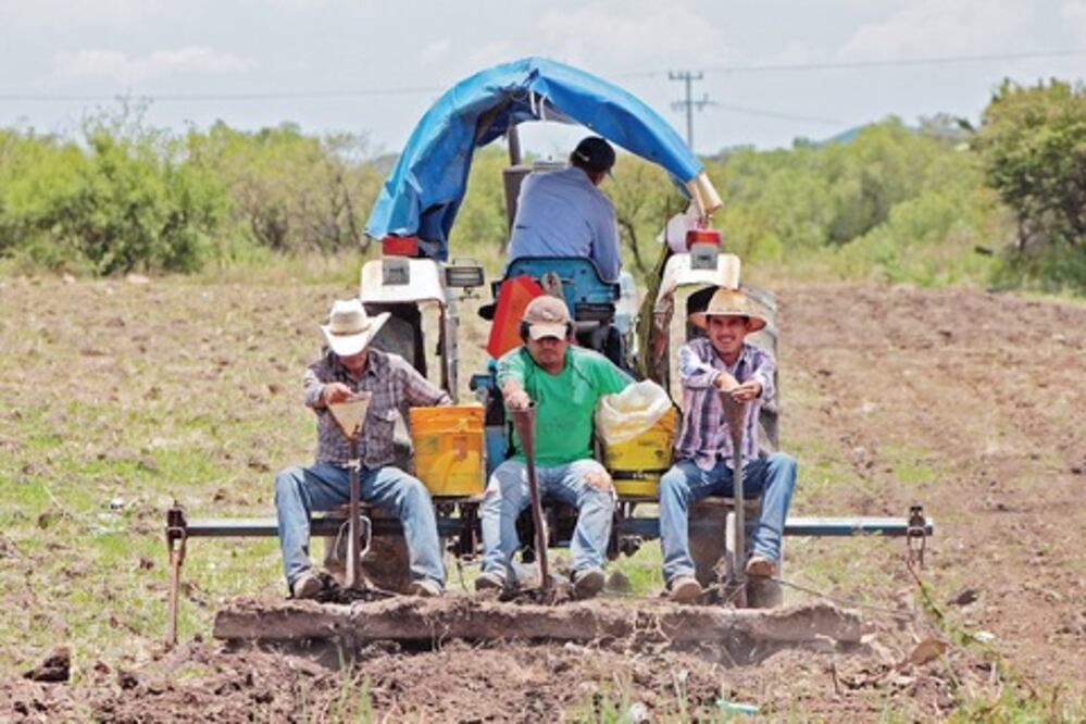 Seguir el apoyo al campo