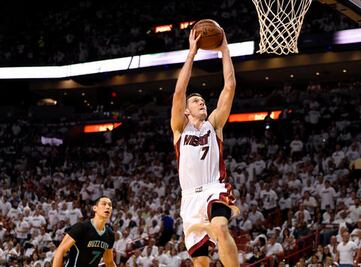 El calor aniquila a los avispones