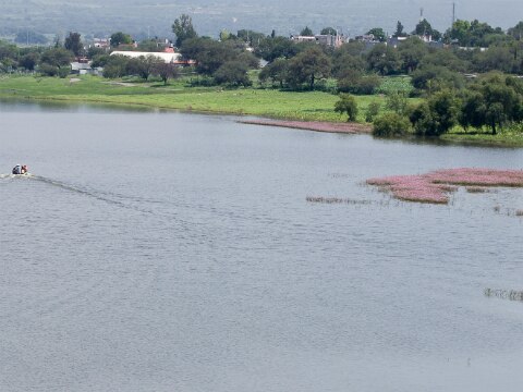 Hasta 6 mdp por contaminar presa