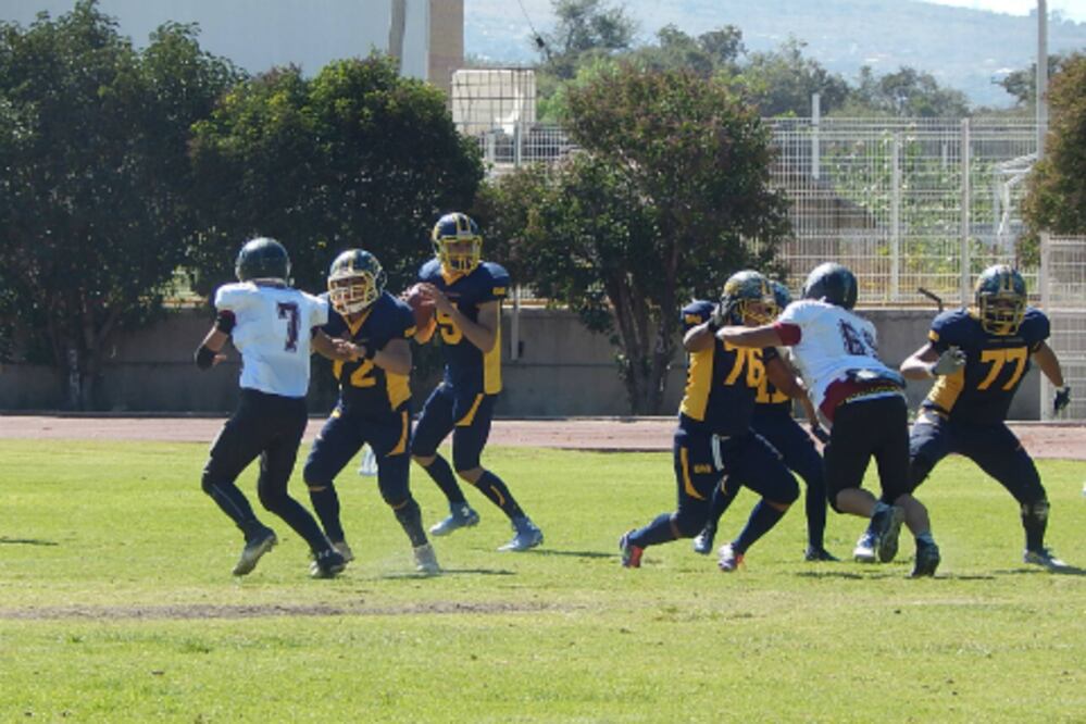 Gatos Salvajes ya está en el juego final