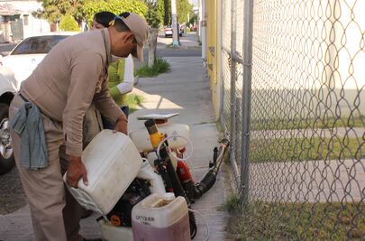Inician campaña contra plagas