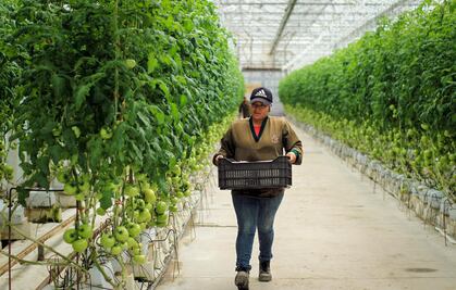 Sagarpa ejercerá bolsa de recursos extraordinarios