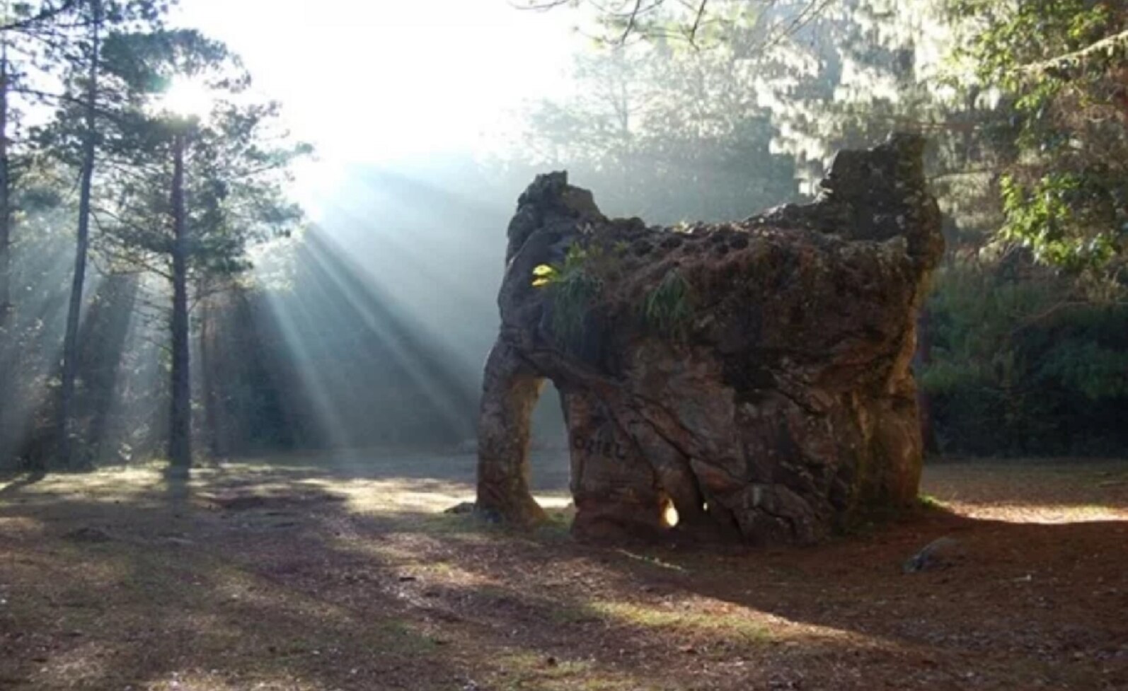 Familia que dañó la “Piedra del Elefante" regresa para asumir las consecuencias