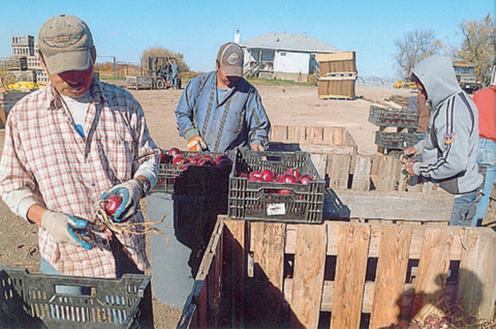 Promoverán fondo para ex braceros