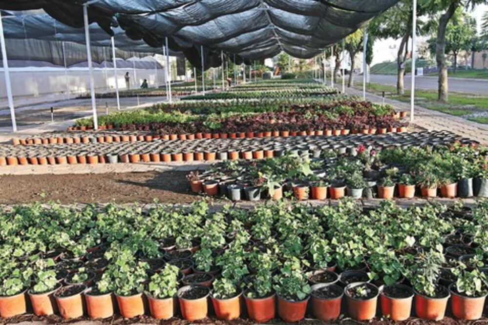 Aumentan proyectos productivos