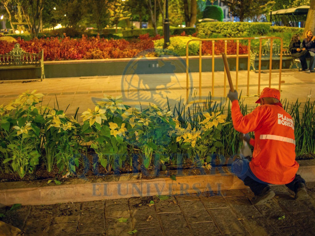 FOTO. FERNANDO CAMACHO