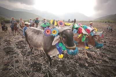 Zoyapilca se viste de fiesta