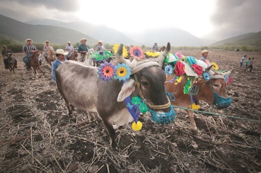 Zoyapilca se viste de fiesta