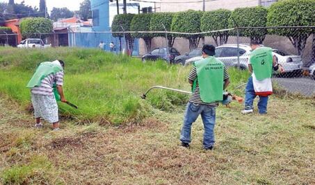 Arranca programa de poda alta en la capital
