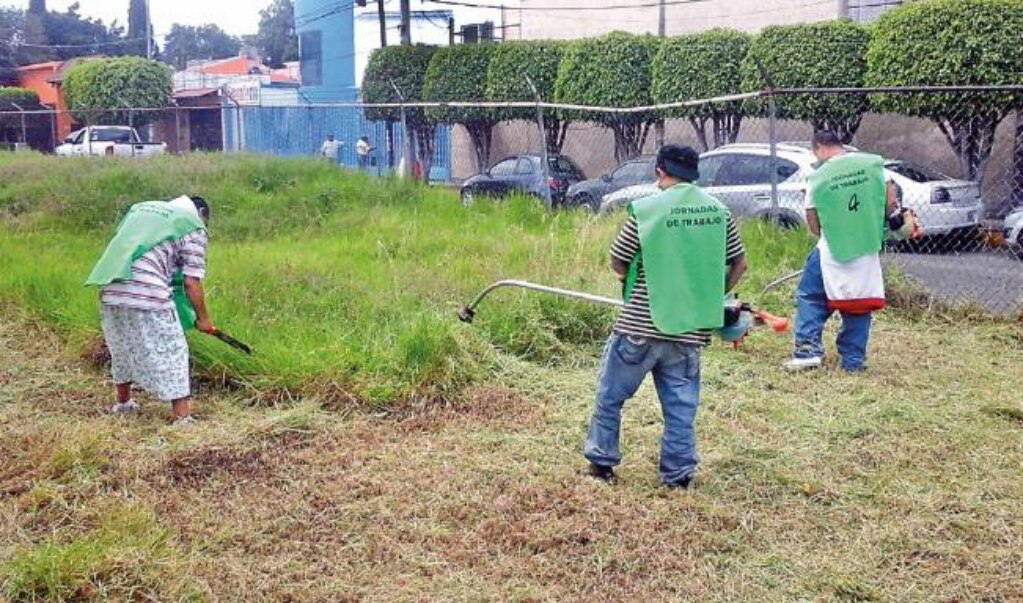 Arranca programa de poda alta en la capital