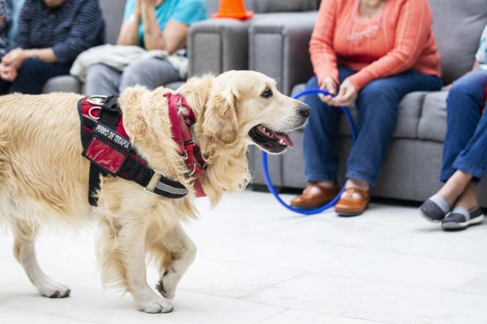 Foto: Demian Chávez, El Universal Querétaro