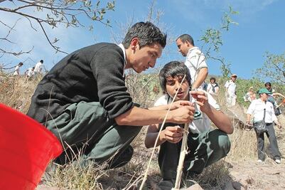 Van 36 mdp para la reforestación
