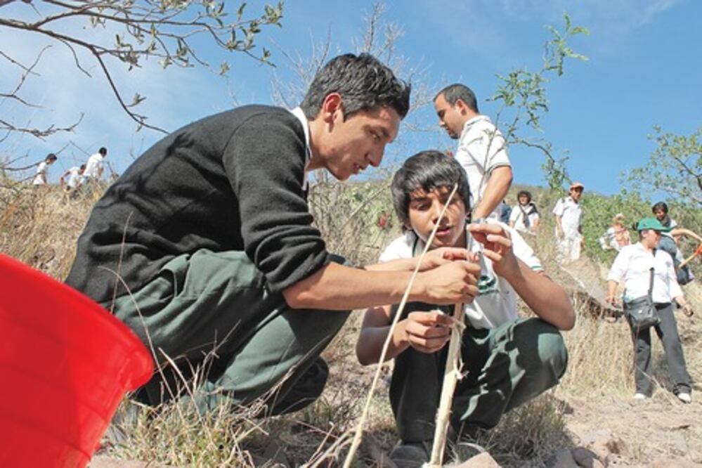 Van 36 mdp para la reforestación