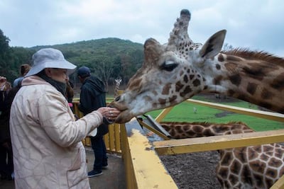 Bioparque Estrella. Vivir la aventura de un safari  