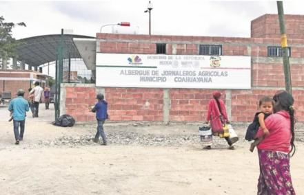 Niños jornaleros: 20 pesos diarios y apenas van a clases