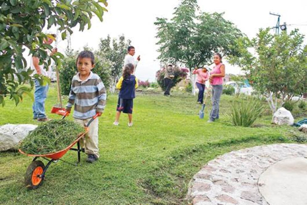 Preservan áreas verdes