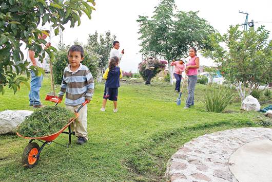 Preservan áreas verdes