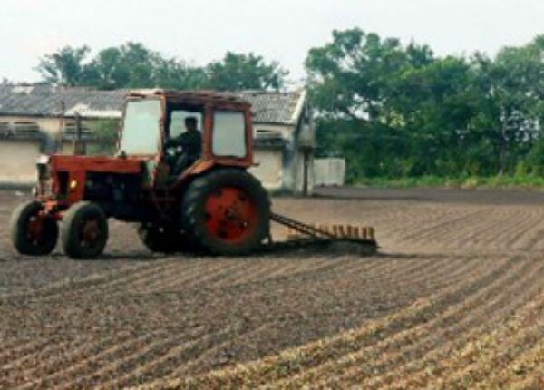 Actividad económica de México crece