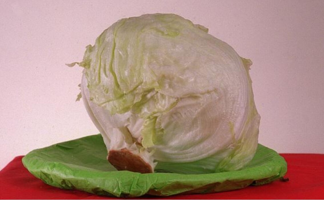 Nuevo brote de E. Coli por comer lechuga romana