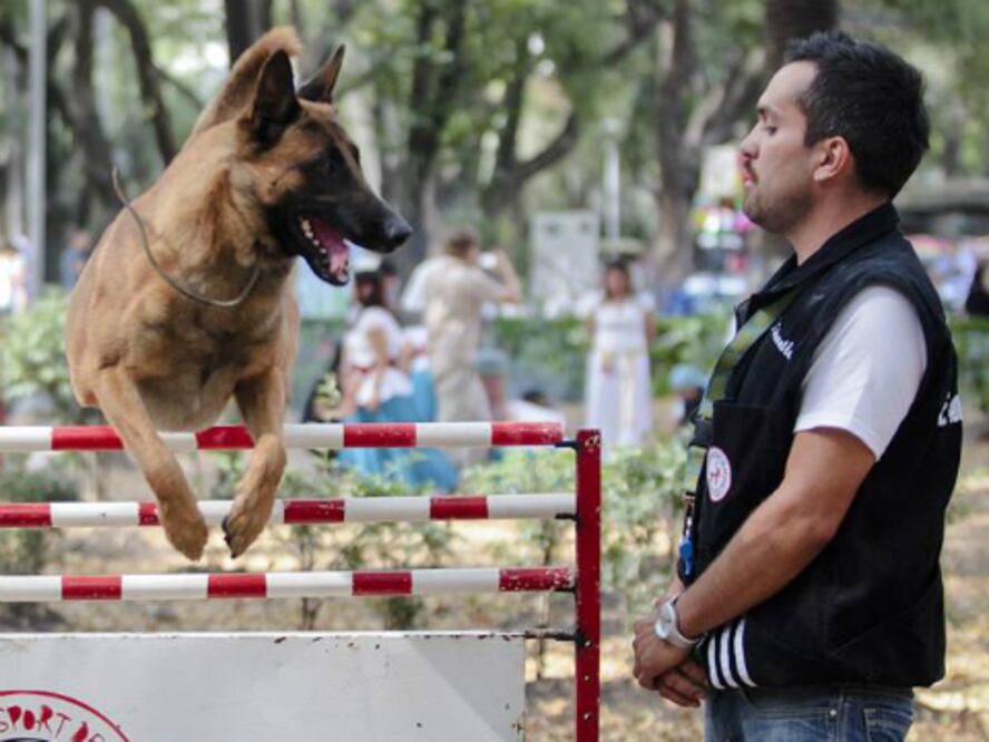 Querétaro, líder en clubes de IPO