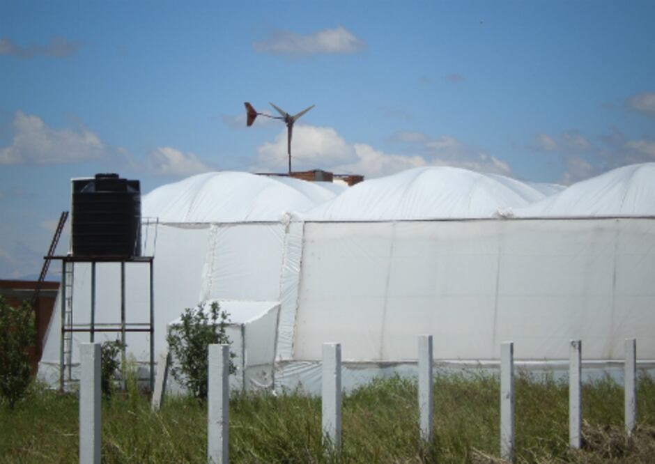 Impulsarán invernaderos en 2014