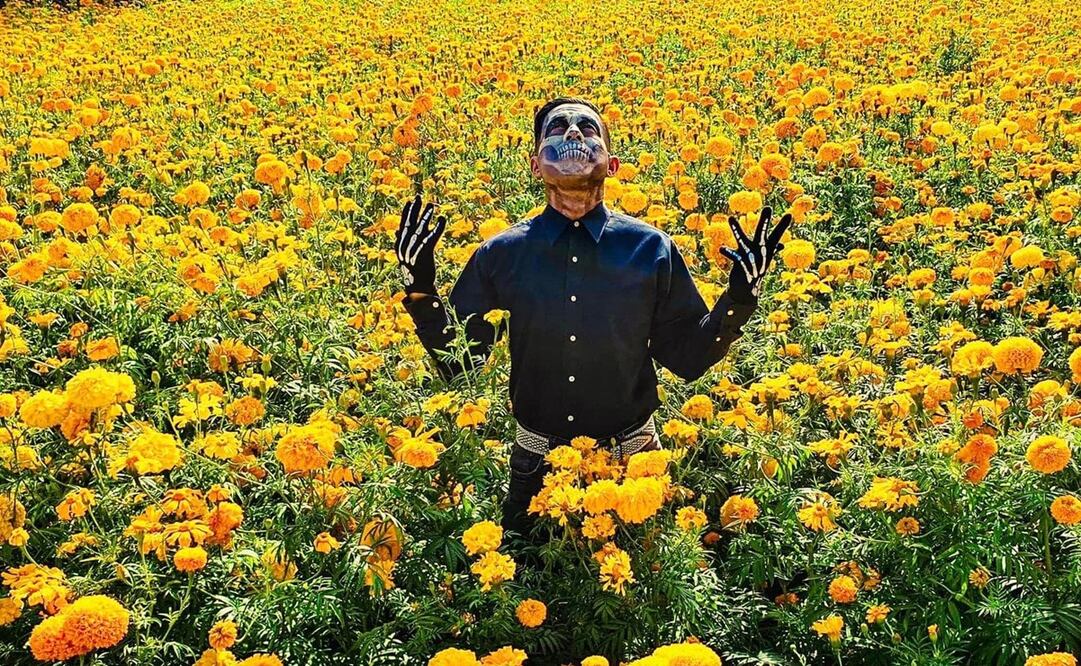 Planea tu visita a los campos de cempasúchil en Querétaro y conoce cómo esta flor ilumina la temporada del Día de Muertos. Foto: Joss Quintanar.