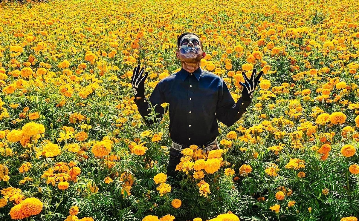 Pueblos de Querétaro para disfrutar de los espectaculares campos de cempasúchil