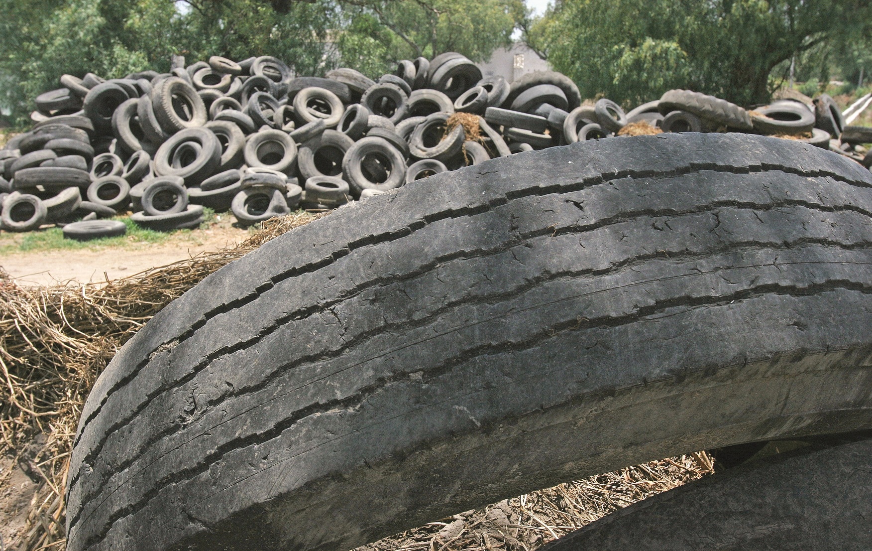 Se reutilizarán llantas sin dañar al medio ambiente: MAV