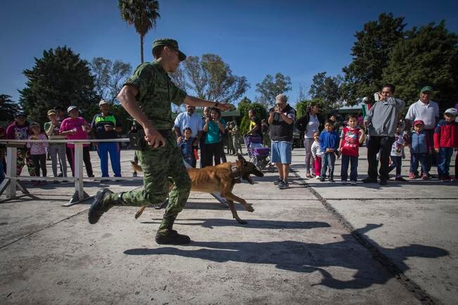 Durante su demostración, el escuadrón canino caminó pecho tierra, saltó obstáculos ‘dio la patita’ al público, los perros se convirtieron en el foco de atención de los asistentes quienes les tomaron muchas fotos (DEMIAN CHÁVEZ)