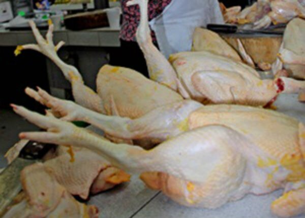 Huevo y pollo, dan 'alivio' a la inflación: INEGI