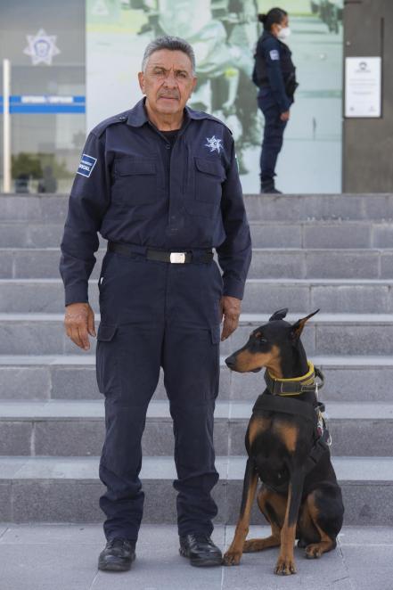 Lomitos policía, grandes aliados para la seguridad en Querétaro