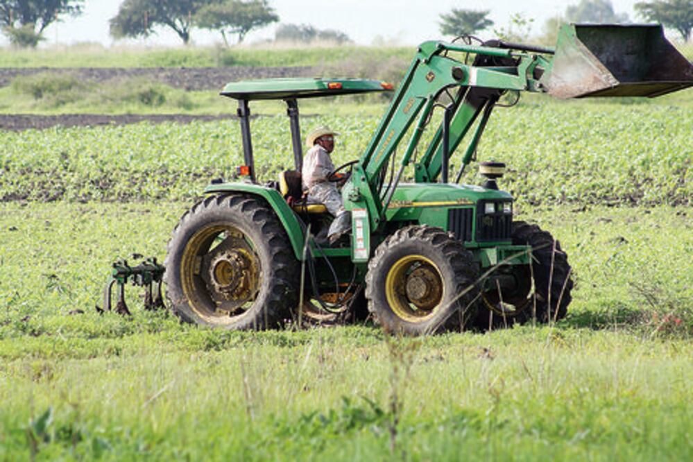 Espera agroindustria mayor exportación