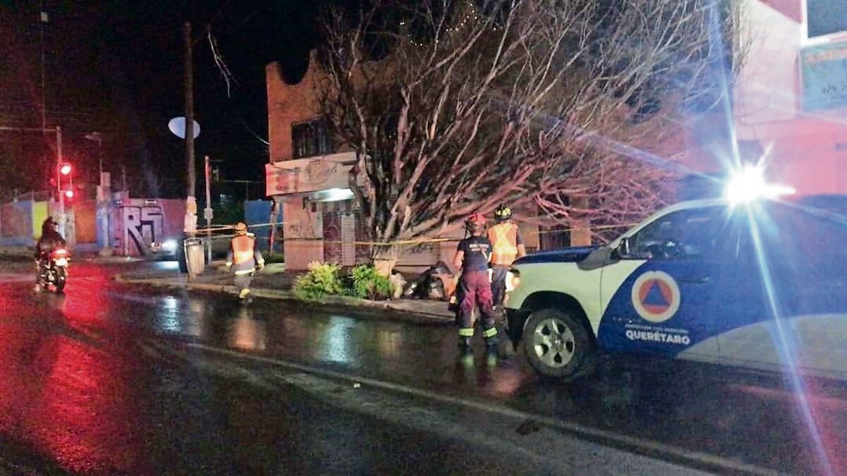 Tormentas provocan caída de 148 árboles de mayo a la fecha