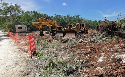 Juez mantiene suspensión definitiva de obras del Tren Maya en Tramo 5 Sur