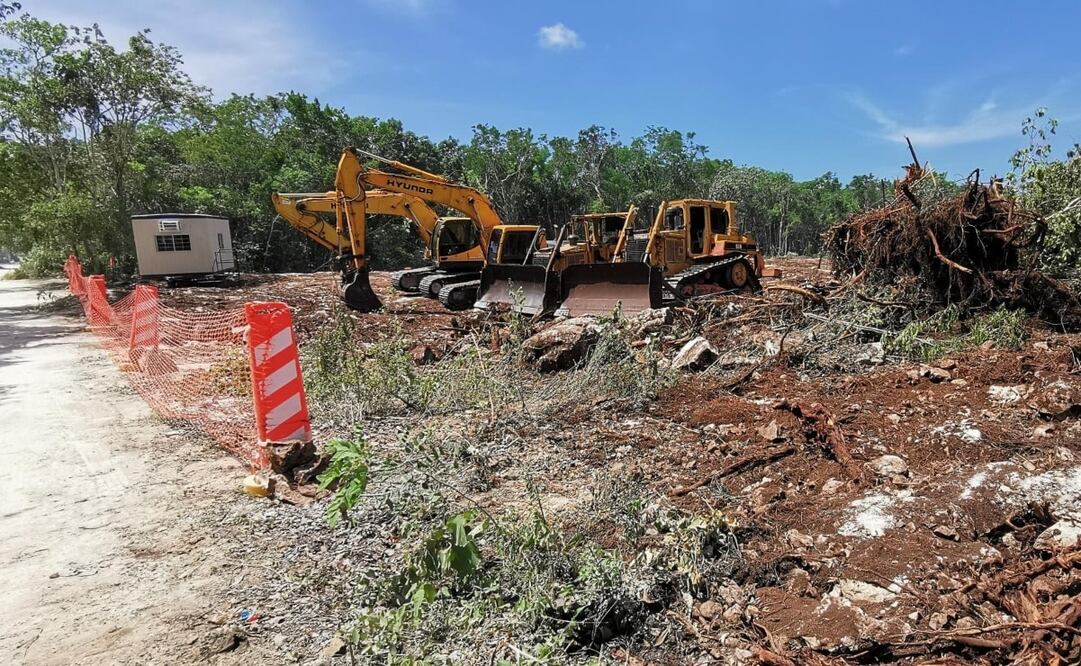 Juez mantiene suspensión definitiva de obras del Tren Maya en Tramo 5 Sur