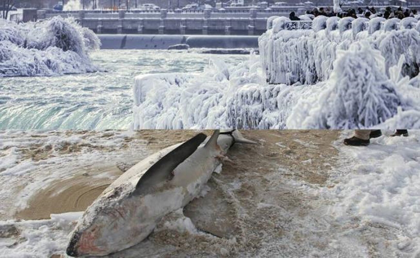 Cataratas del Niágara se congelan por onda polar