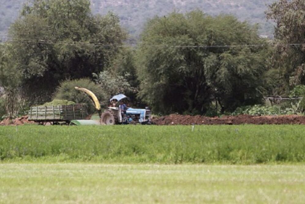 Sedea prevé que aumenten a 2 mil mdp los créditos rurales