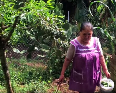 “De mi rancho a tu cocina”, el nuevo canal de YouTube