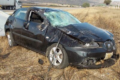 Provoca perro volcadura de auto