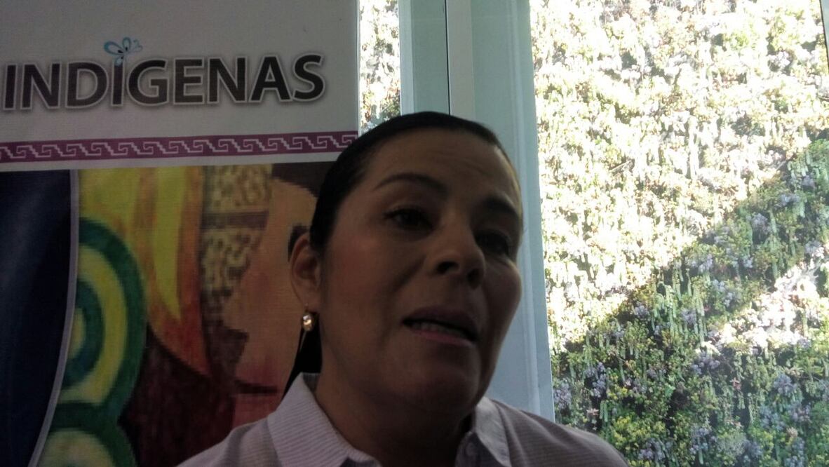 Arremete diputada Aguilar contra MAV