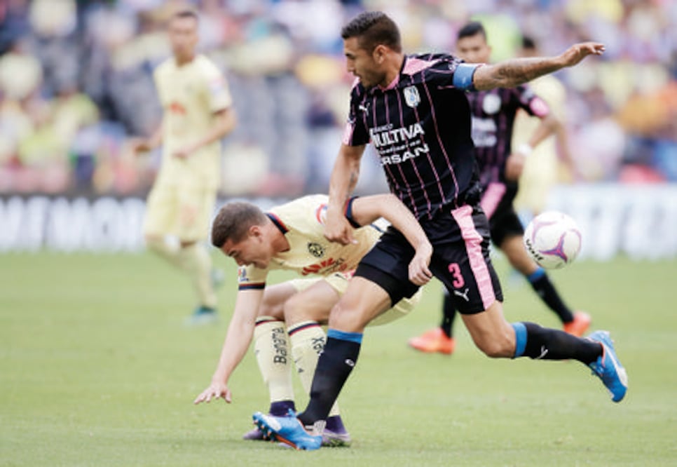 Gallos, a luchar para sobrevivir